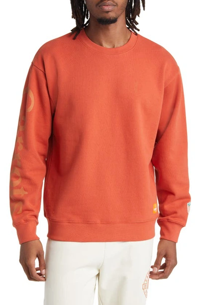 Carrots By Anwar Carrots Wordmark Cotton Logo Graphic Sweatshirt In Orange