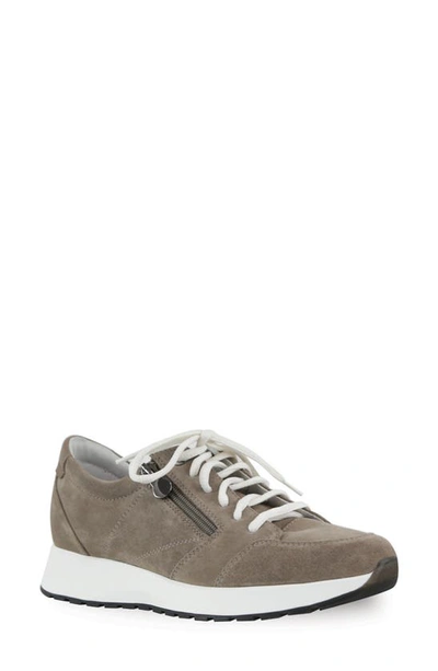 Munro Sutton Trainer In Almond