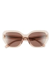Tory Burch 55mm Cat Eye Sunglasses In Brown