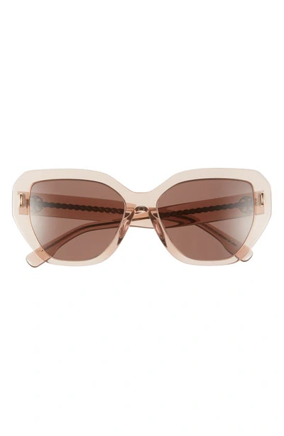 Tory Burch 55mm Cat Eye Sunglasses In Brown