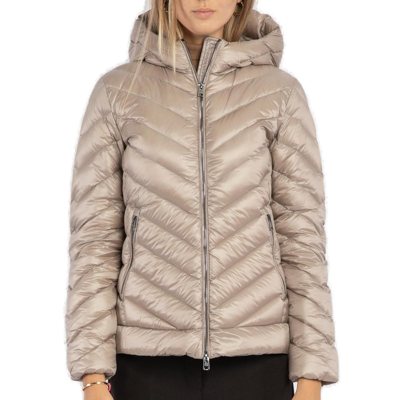Woolrich Chevron Quilted Hooded Jacket Woman Down Jacket Dove Grey Size L Polyamide In Default Title