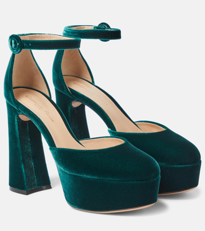 Gianvito Rossi Plateau-pumps Holly Aus Samt In Green