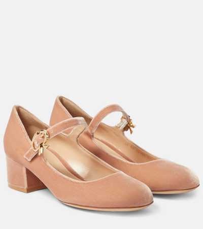 Gianvito Rossi Pumps Mary Ribbon 46 Aus Samt In Pink