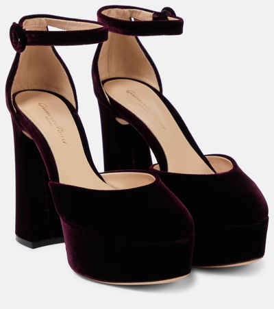 Gianvito Rossi Plateau-pumps Holly Aus Samt In Purple