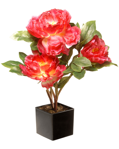 National Tree Company National Tree Potted Pink Carnations