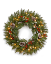 National Tree Company 30in Frosted Berry Wreath With 100 Clear Lights
