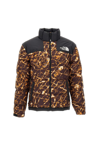 The North Face Abstract-pattern Print Padded-design Jacket In Multicolour