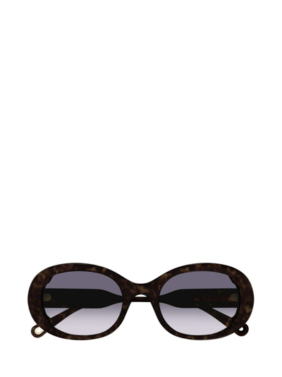Chloé Eyewear Round Framed Sunglasses In Multi