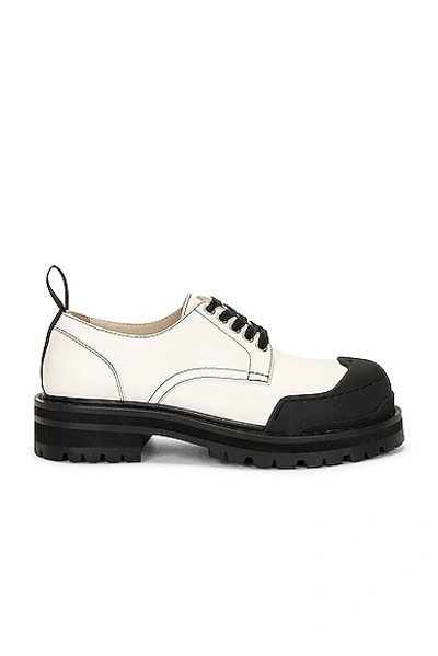 Marni Dada Leather Platform Derby Loafers In White