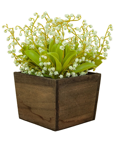National Tree Company 10in Green Lily-of-the-valley Flowers In Wood Box