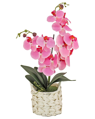 National Tree Company 21in Pink Orchid Flower In White Basket
