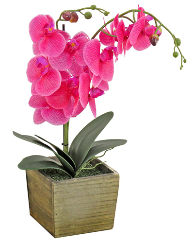 National Tree Company Purple Orchid Flower In Wood Box