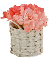 National Tree Company Coral Hydrangea Bouquet In White Basket In Coral