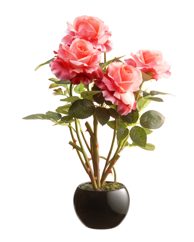 National Tree Company Potted Pink Roses In Black