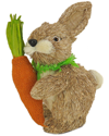 NATIONAL TREE COMPANY NATIONAL TREE COMPANY 12IN EASTER BUNNY WITH CARROT