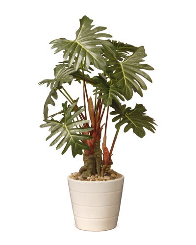 National Tree Company 21in Philodendron Plant In White