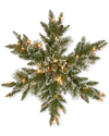 National Tree Company Pine Snowflake With Led Lights