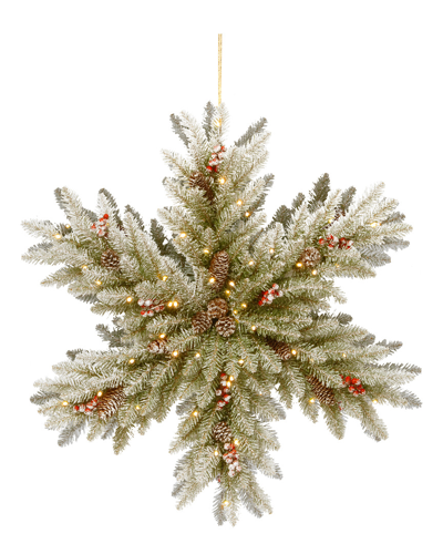 National Tree Company 32in Snowy Dunhill Fir Double-sided Snowflake With 100 Warm White Led Lights &