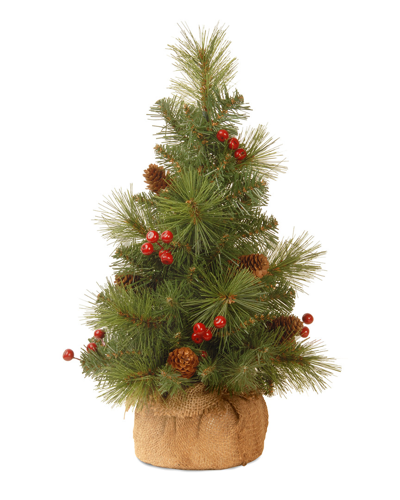 National Tree Company Dnu Unprofitable National Tree 18in Everyday Collection Miniature Pine Cone & Berry Tree In Burlap