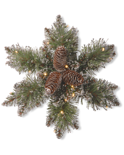 National Tree Company Dnu Unprofitable National Tree 14 Glittery Bristle Pine Snowflakes