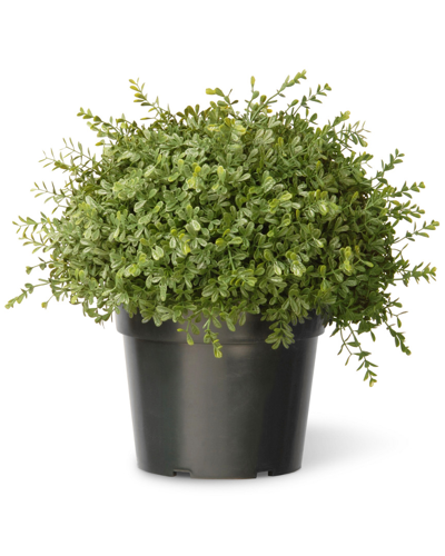 National Tree Company National Tree 15in Mini Tea Leaf Ball In Grower's Pot