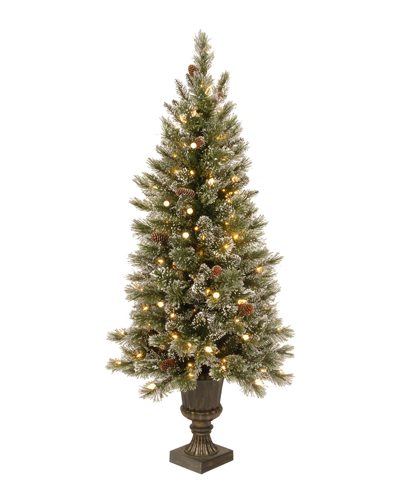 National Tree Company 4' Glittery Bristle Pine Entrance Tree