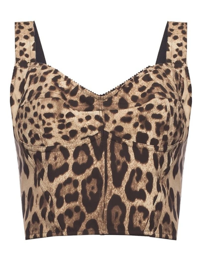 Dolce & Gabbana Cropped Top In Brown