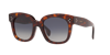 Celine Cl4002un Sunglasses In Smoke Brown
