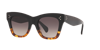 Celine Cl4004in 5005k Cat Eye Sunglasses With Gradien Roviex Lens In Brown