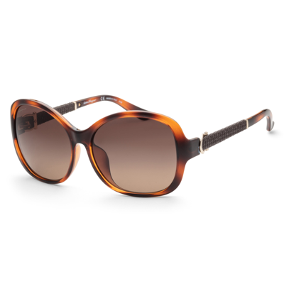 Ferragamo Salvatore  59mm Square Sunglasses In Havana Brn