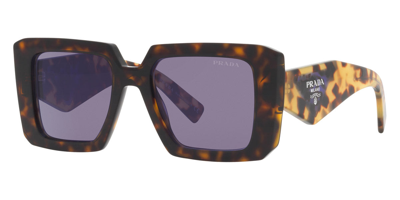 Prada Low Bridge Square Women's Sunglasses, Pr 23ysf In Brown