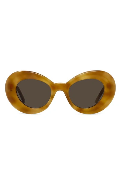 Loewe Curvy Acetate Butterfly Sunglasses In Blndhav/brn