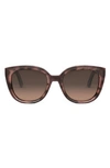 Dior Midnight R1i Butterfly Sunglasses, 54mm In Red Havana