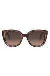 Dior Midnight R1i Butterfly Sunglasses, 54mm In Dark Havana/brown Gradient