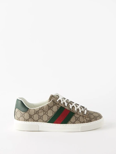 Gucci Ace Herrensneaker Mit Web In Neutrals