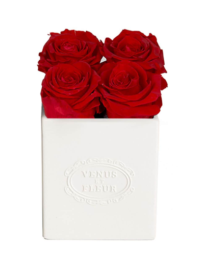 Venus Et Fleur Sylvie Eternity Rose Porcelain Vase In Red