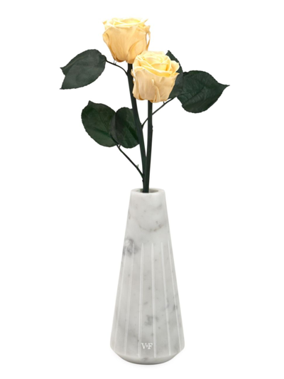 Venus Et Fleur Ela Eternity Rose Marble Vase In Champagne