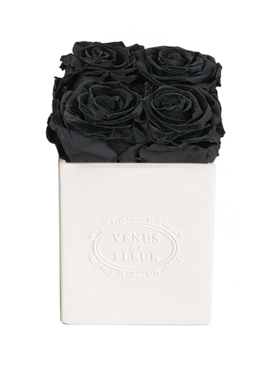 Venus Et Fleur Sylvie Eternity Rose Porcelain Vase In Black