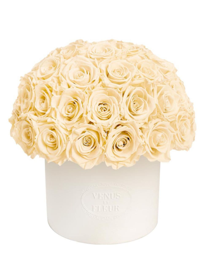 Venus Et Fleur Thalia Eternity Rose Porcelain Vase In Champagne