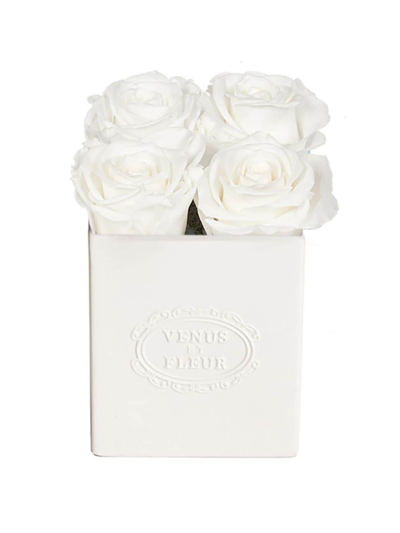 Venus Et Fleur Sylvie Eternity Rose Porcelain Vase In Pure White