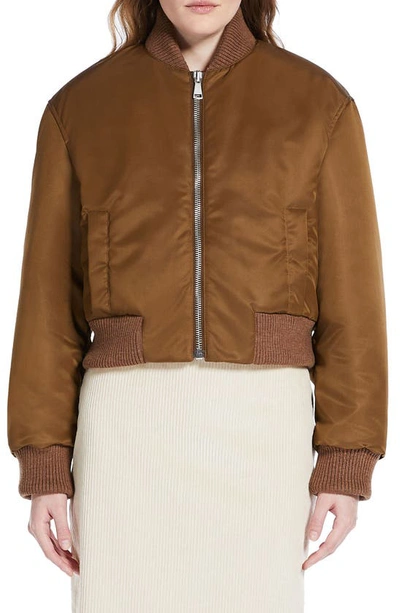 Weekend Max Mara Ribbed-trim Cropped Bomber Jacket In Tobacco