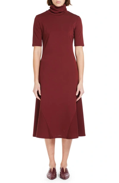 Max Mara Women's Cady Mock Turtleneck Midi-dress In Brick Red