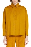 Max Mara Button-down Cotton Poplin Shirt In Ochre