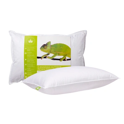 Canadian Down & Feather Company Hutterite Down Perfect Pillow Medium Support In White