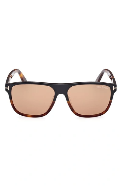 Tom Ford Brown Frances Sunglasses In Black Blonde / Brown