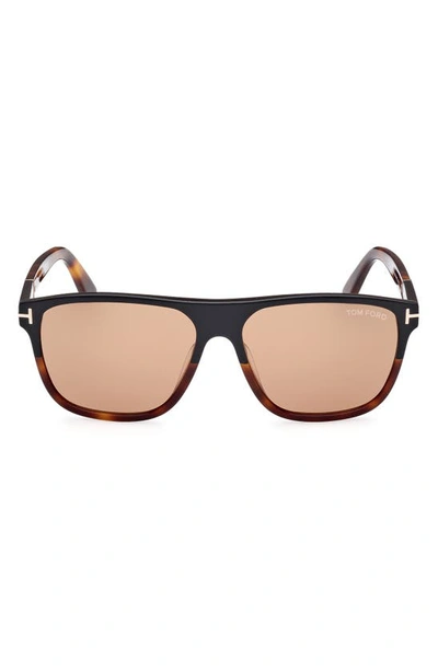 Tom Ford Brown Frances Sunglasses In 05e Colourblock Black