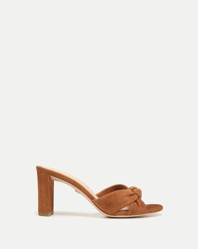 Veronica Beard Ganita Knot-front Sandal In Hazelwood