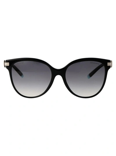 Tiffany & Co . Sunglasses In 8001t3 Black