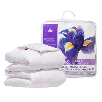 Canadian Down & Feather Company Hutterite Goose Down Duvet All Season  Weight In White