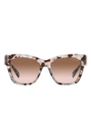 Michael Kors Empire 55mm Gradient Cat Eye Sunglasses In Pink Tortoise